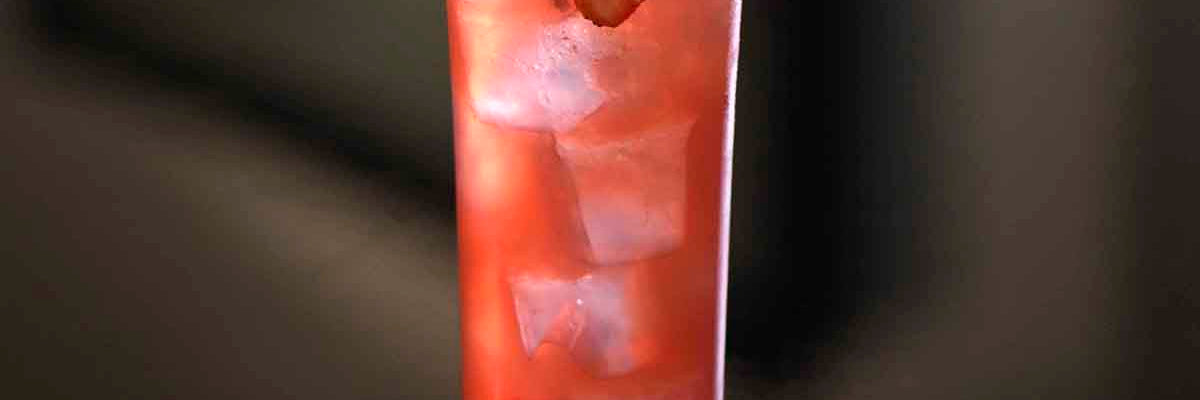 Forbidden Fizz : French Bloom Conscious Cocktails