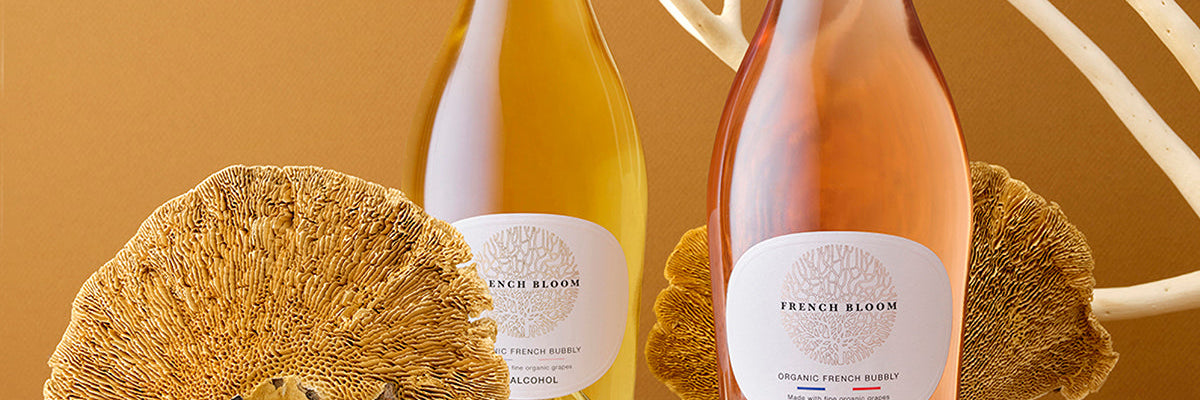 Wonderland : the story of French Bloom