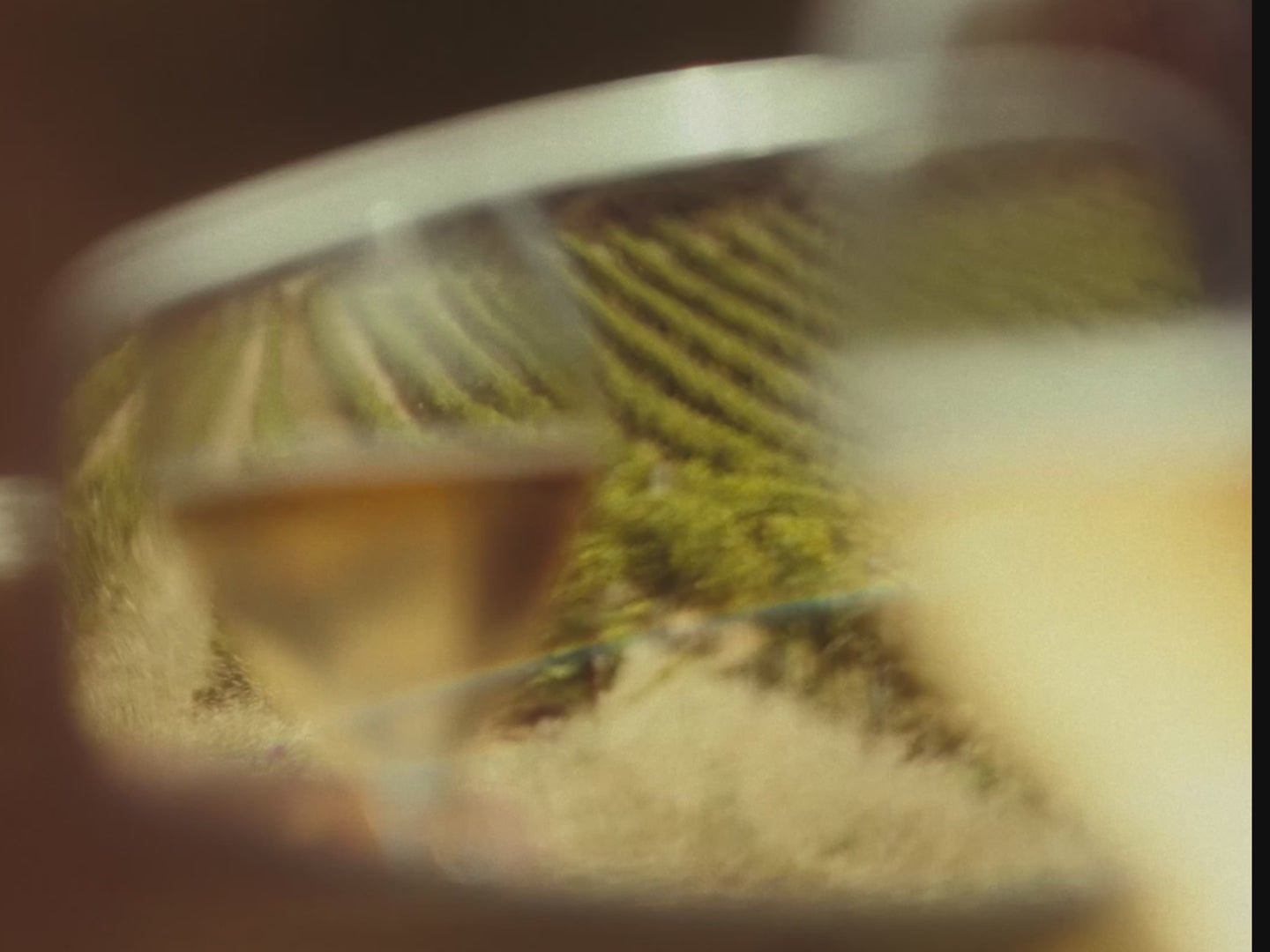 French Bloom in Limoux, featuring vineyard landscapes, bottles and glasses of alcohol-free sparkling cuvées.